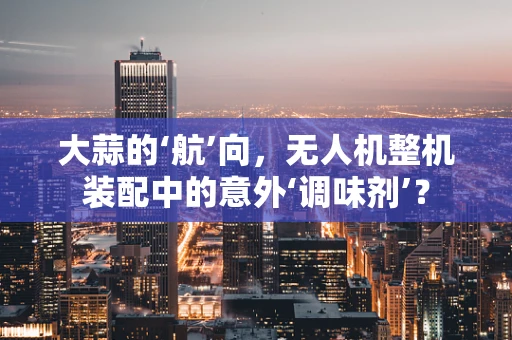 大蒜的‘航’向，无人机整机装配中的意外‘调味剂’？