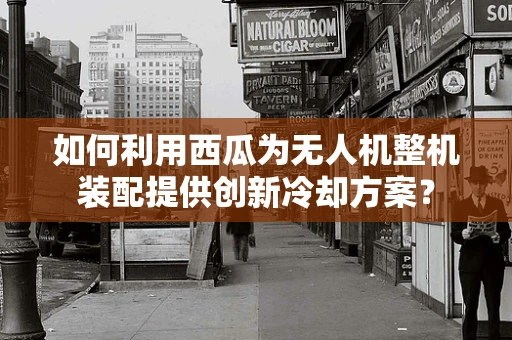 如何利用西瓜为无人机整机装配提供创新冷却方案？
