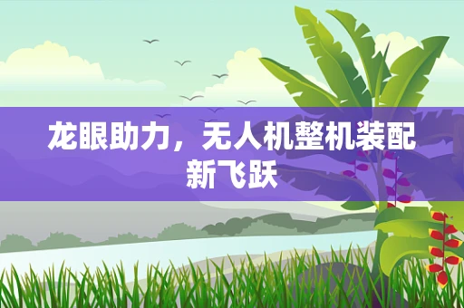 龙眼助力，无人机整机装配新飞跃