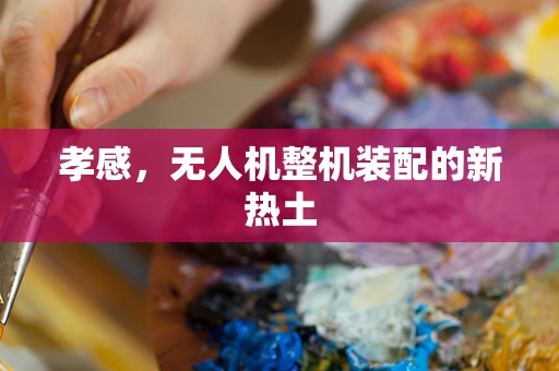 孝感，无人机整机装配的新热土