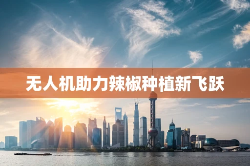 无人机助力辣椒种植新飞跃