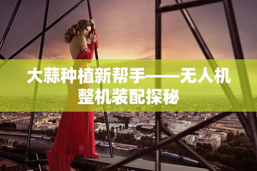 大蒜种植新帮手——无人机整机装配探秘