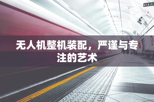 无人机整机装配，严谨与专注的艺术