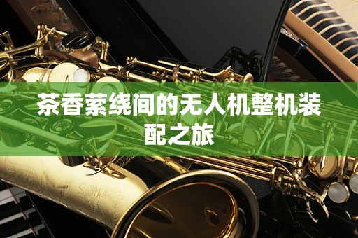 茶香萦绕间的无人机整机装配之旅