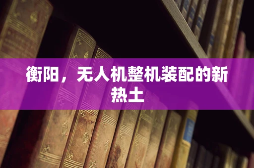 衡阳，无人机整机装配的新热土