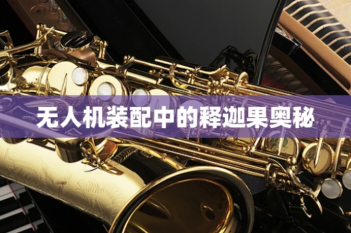 无人机装配中的释迦果奥秘