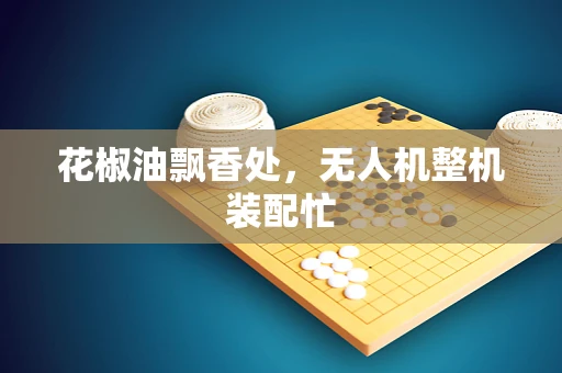 花椒油飘香处，无人机整机装配忙