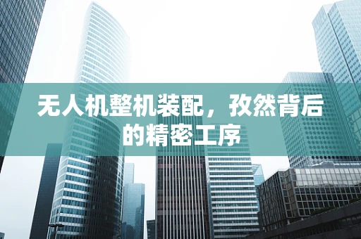 无人机整机装配，孜然背后的精密工序
