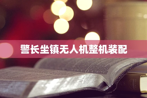 警长坐镇无人机整机装配