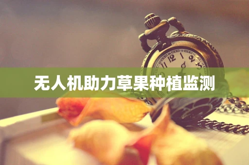 无人机助力草果种植监测