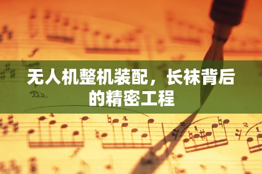 无人机整机装配，长袜背后的精密工程