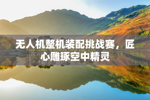 无人机整机装配挑战赛，匠心雕琢空中精灵