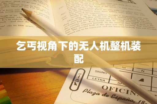 乞丐视角下的无人机整机装配
