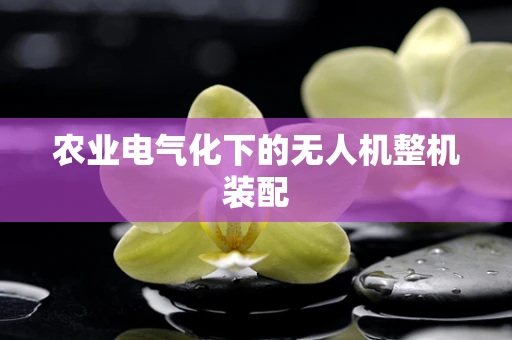 农业电气化下的无人机整机装配