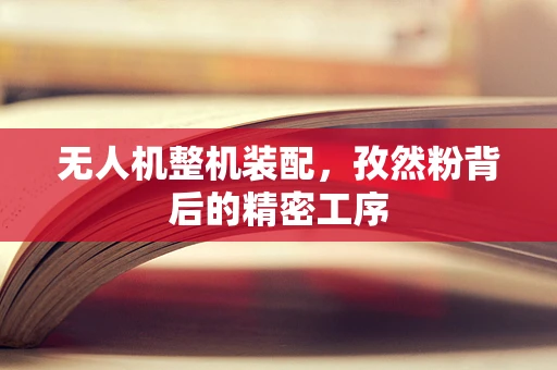 无人机整机装配，孜然粉背后的精密工序