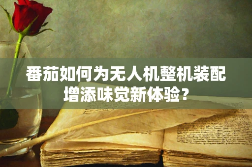 番茄如何为无人机整机装配增添味觉新体验？