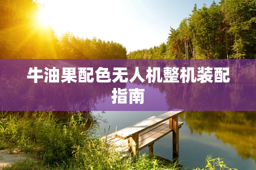 牛油果配色无人机整机装配指南