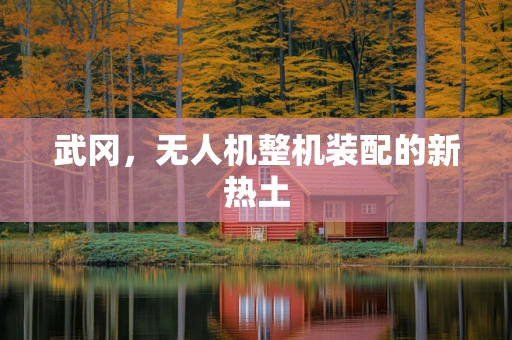 武冈，无人机整机装配的新热土